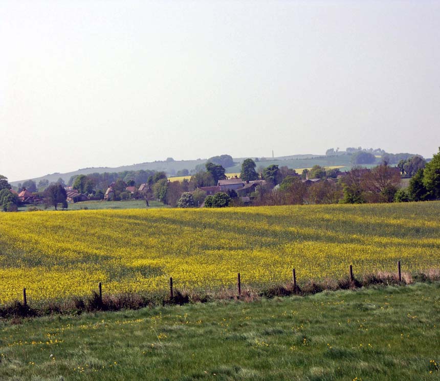 west_kennet_avenue14